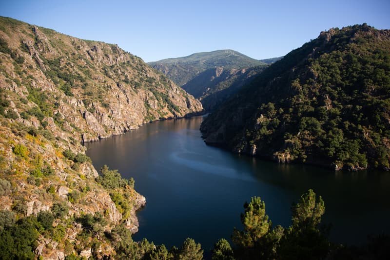 Explora la Ribeira Sacra desde Monforte de Lemos