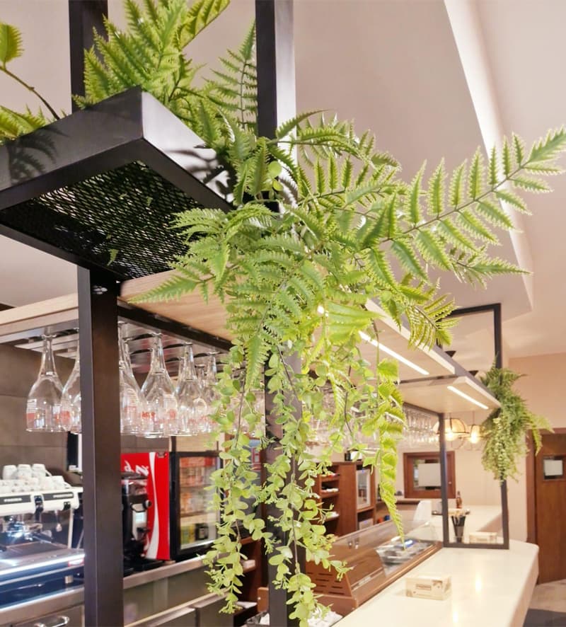 O Molinón en Monforte de Lemos